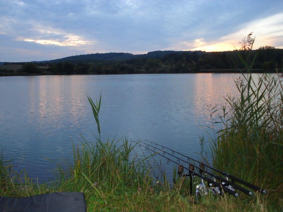 carp - 365494220103978629491341997577n.jpg